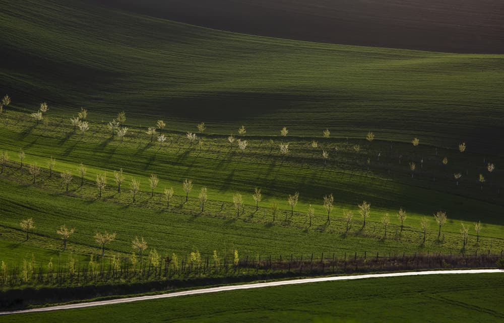 Rolling Green Hills Shadows by Clas Gustafson PRO — canvas wall art