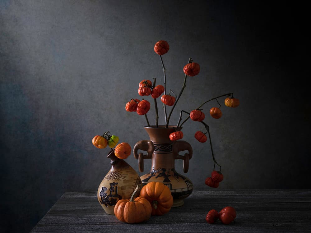 Dark Harvest Still Life by Binbin L. — canvas wall art