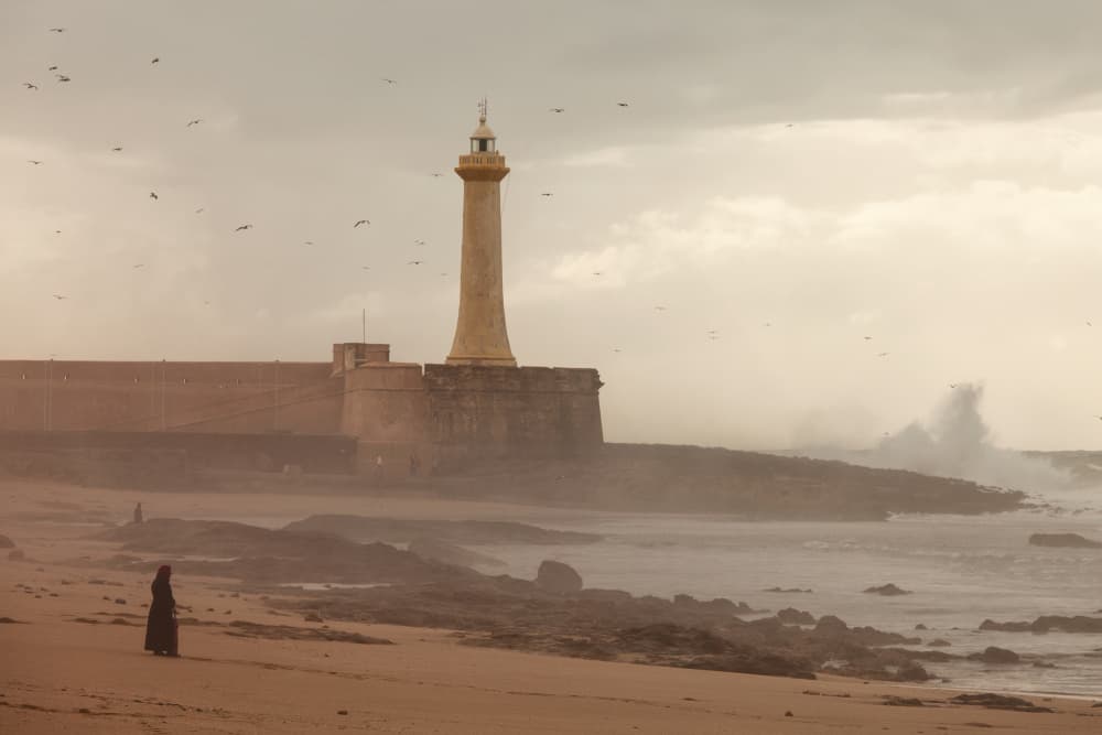 Misty Coastal Lighthouse by Dan Mirica — canvas wall art