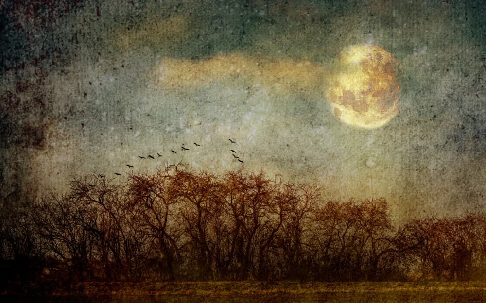 Moonlit Flight Over Trees by Hans Günther — canvas wall art