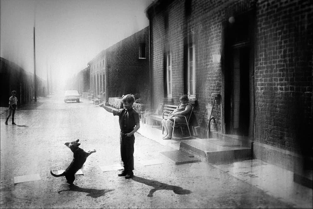 Boy and Jumping Dog by Holger Droste — canvas wall art