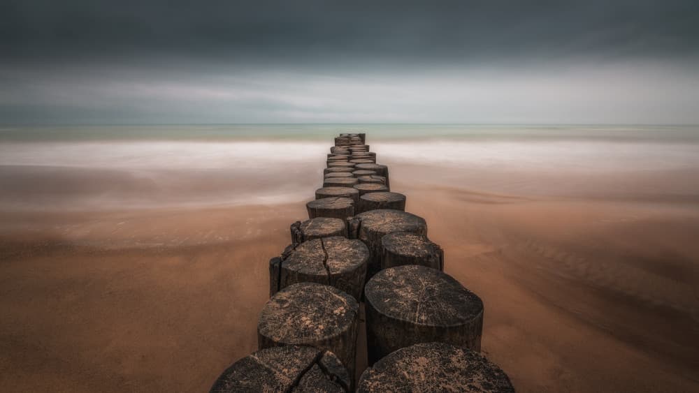 Moody Beach Posts by Thomas de Franzoni — canvas wall art