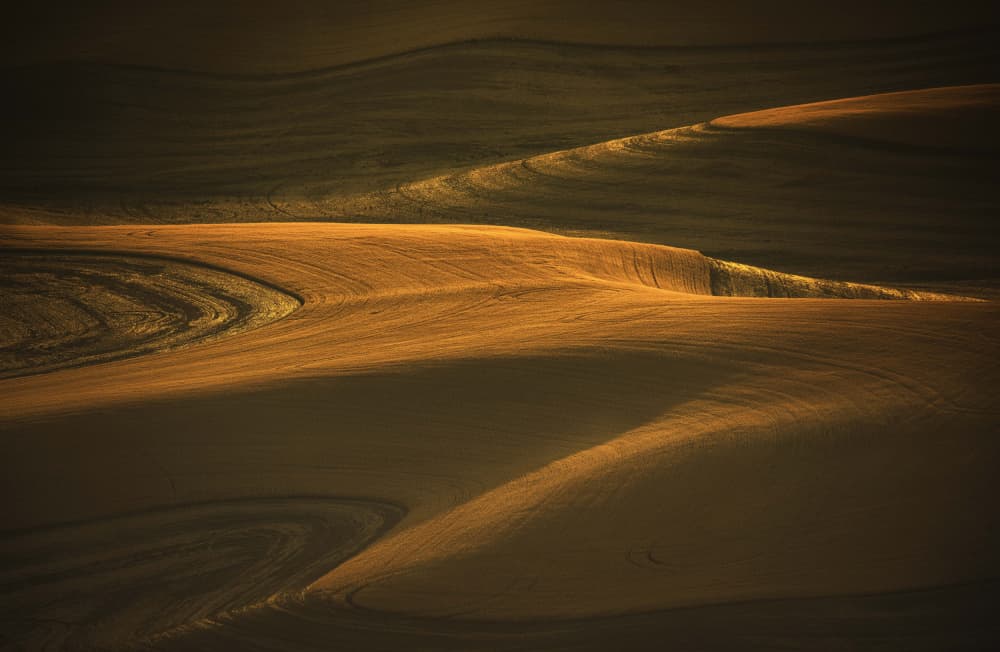 Golden Rolling Fields by Jie Cheng — canvas wall art