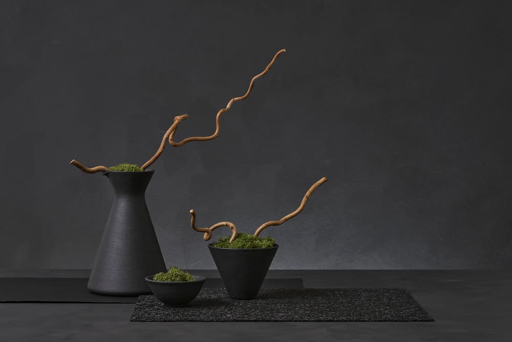 Dark Organic Still Life by Christophe Verot — canvas wall art