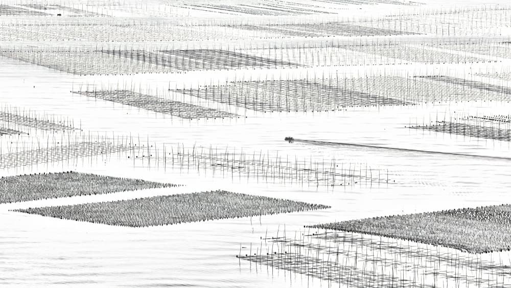 Geometric Sea Farm by Wei Xu — canvas wall art