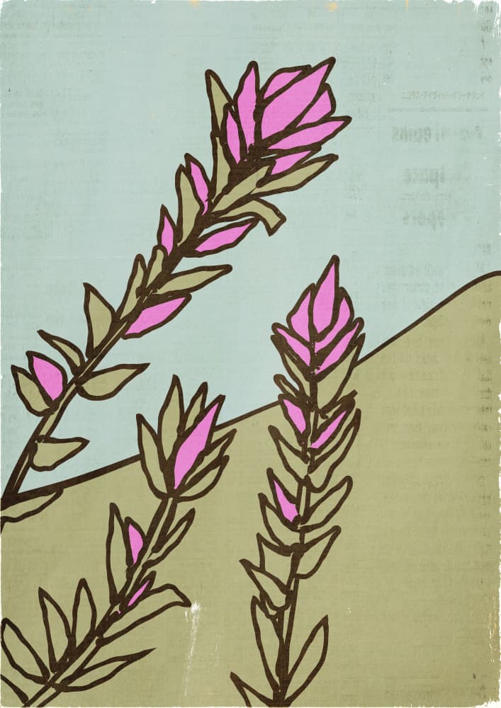 Stylized Pink Flowers by Nicholas — canvas wall art