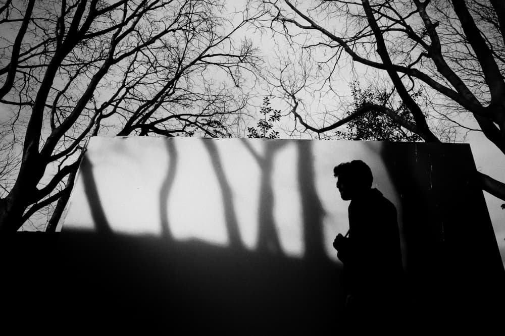 Stark Silhouette Tree Shadows by Alphan YILMAZMADEN — canvas wall art