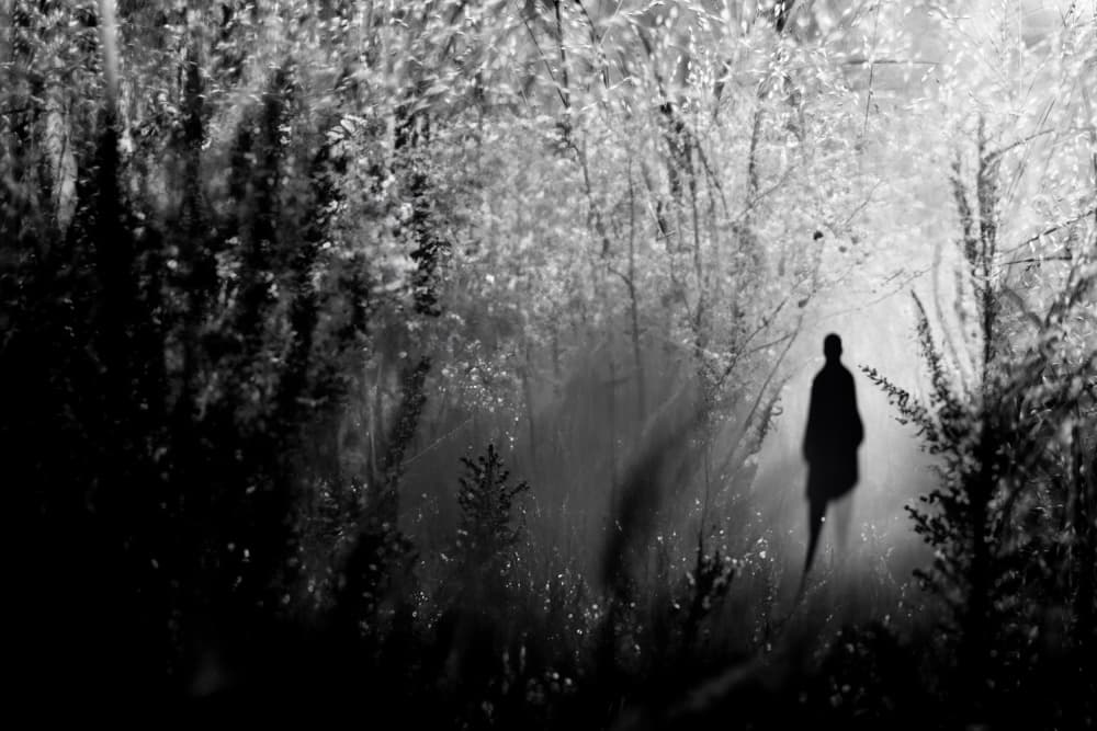 Mysterious Forest Figure by YoungIl Kim — canvas wall art