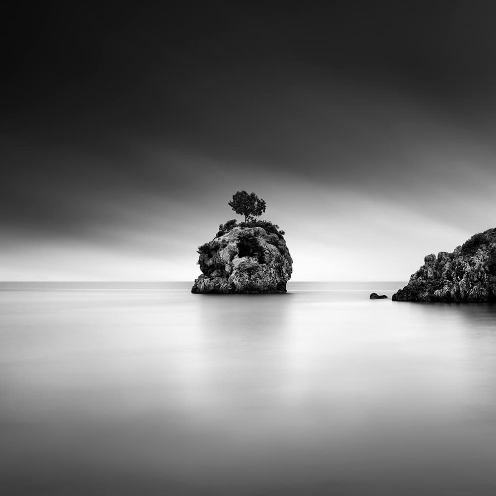 Solitary Island Tree by George Digalakis — canvas wall art