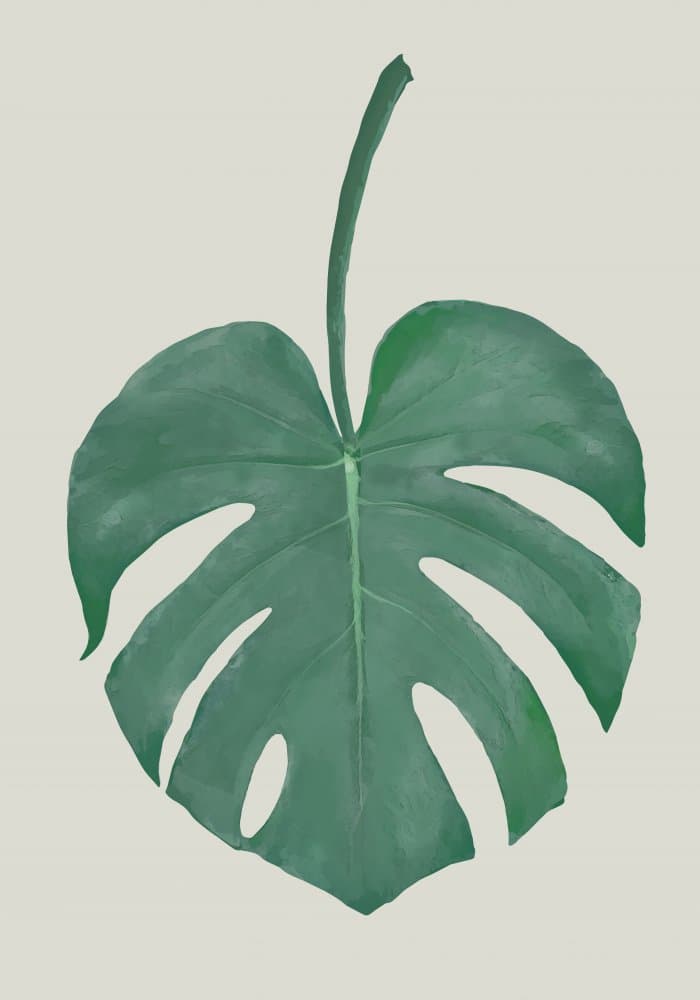Green Monstera Leaf by Pictufy Studio II — canvas wall art