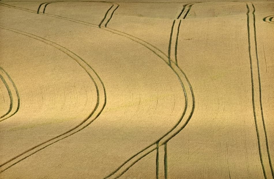 Golden Field Patterns by Clive Collie — canvas wall art
