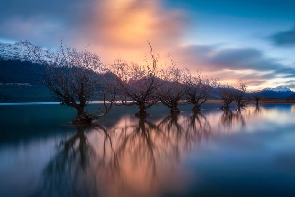 Sunrise Lake Bare Trees by Mei Xu — canvas wall art