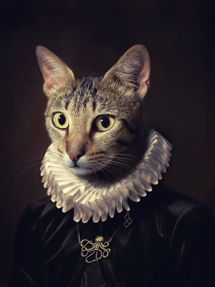 Regal Cat Portrait by Paulo Dias — canvas wall art