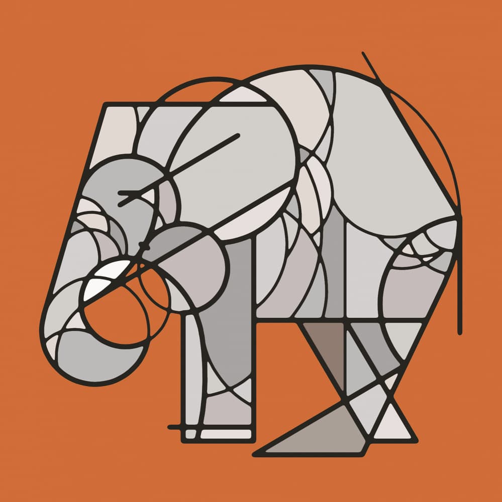 Geometric Elephant Profile by Rafa Mateo — canvas wall art