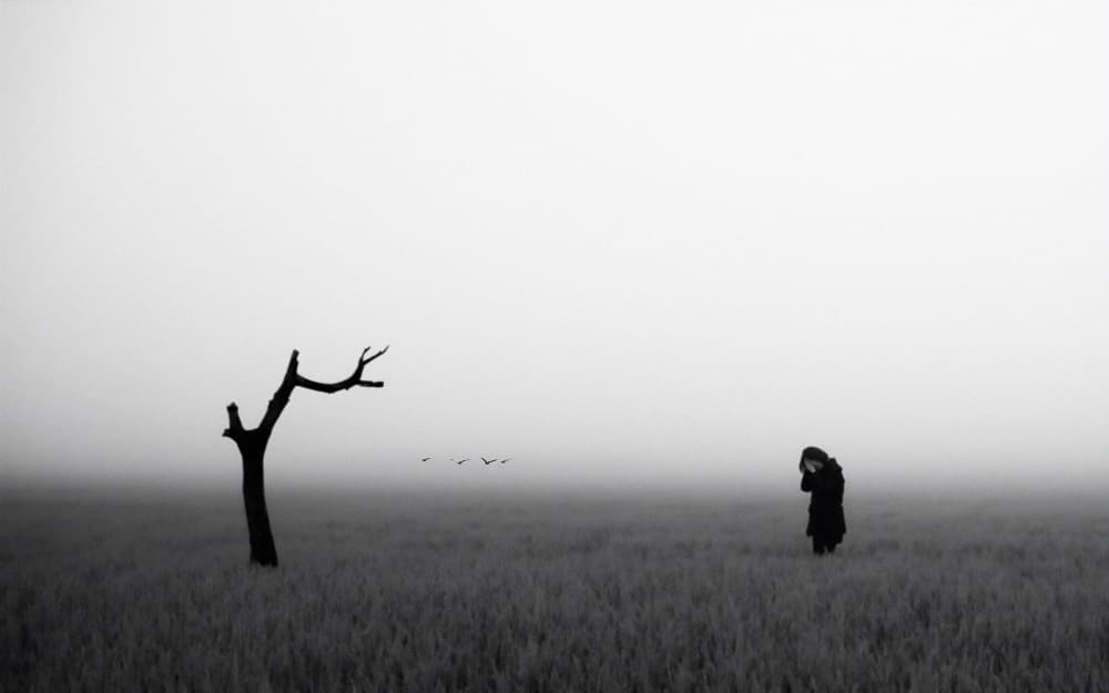 Misty Field Solitude by Parole Kim — canvas wall art