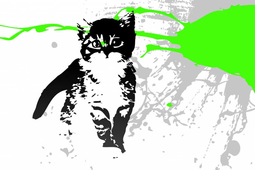 Green Splatter Kitten by Rafal Kulik — canvas wall art