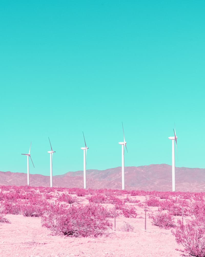 Palm Springs Windmills in the Desert by Tom Windeknecht — canvas wall art