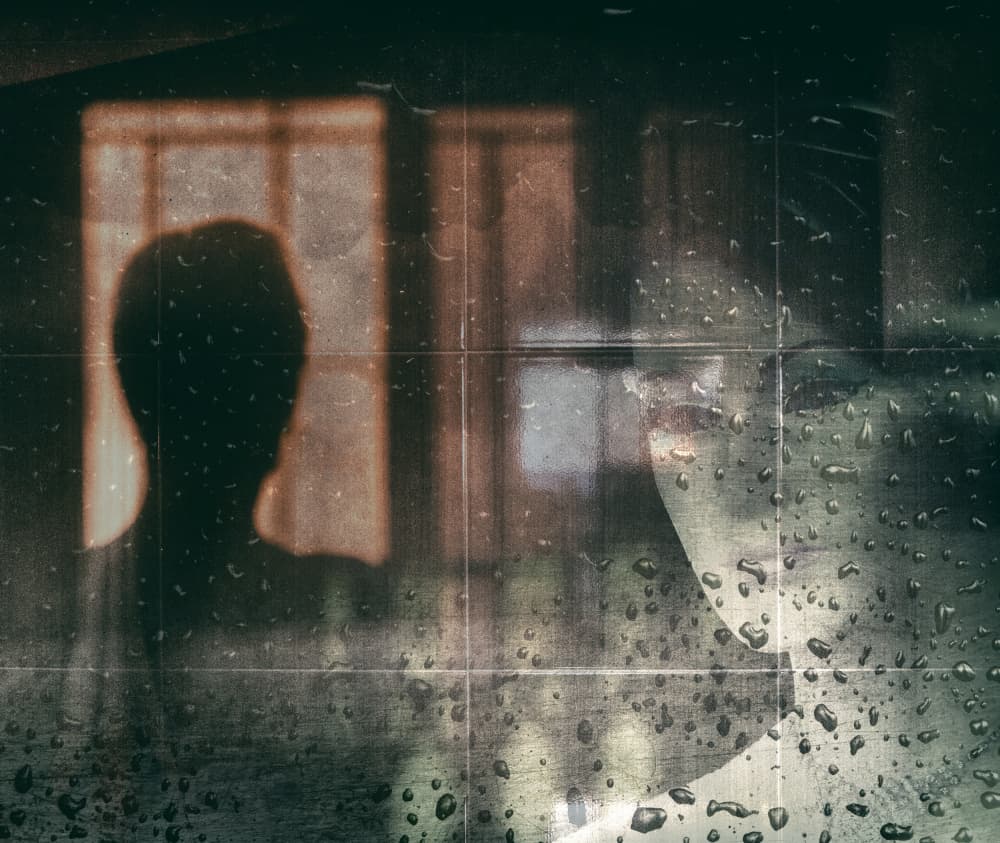 Rainy Window Silhouette by Harry Verschelden — canvas wall art