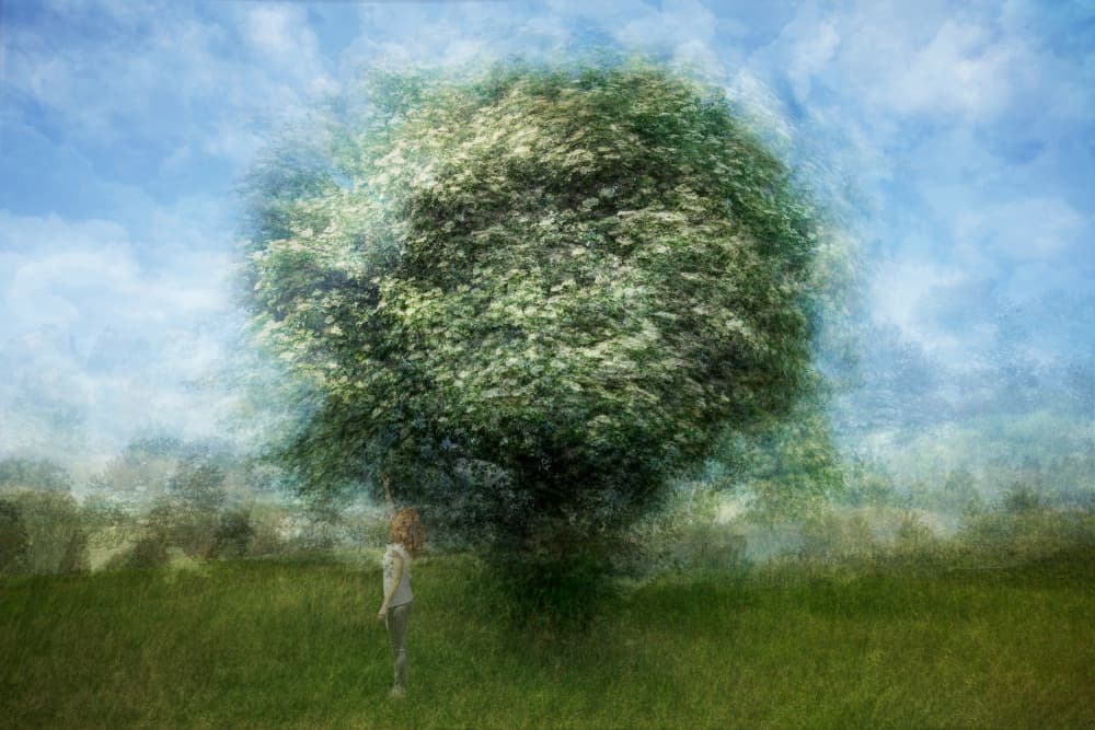 Child Under Dreamy Tree by Fiorenzo Carozzi — canvas wall art