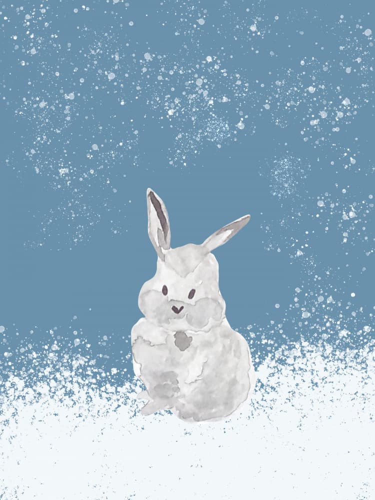 Winter Snow Bunny by Elizabeth C — canvas wall art