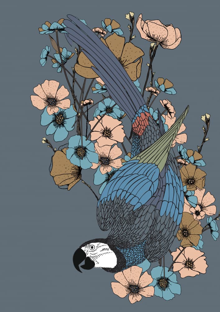 Tropical Macaw Blooms by Nicholas — canvas wall art