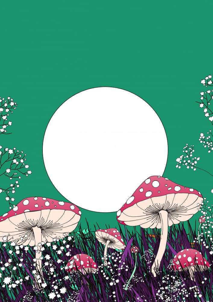 Magical Mushroom Moonlight by Nicholas — canvas wall art