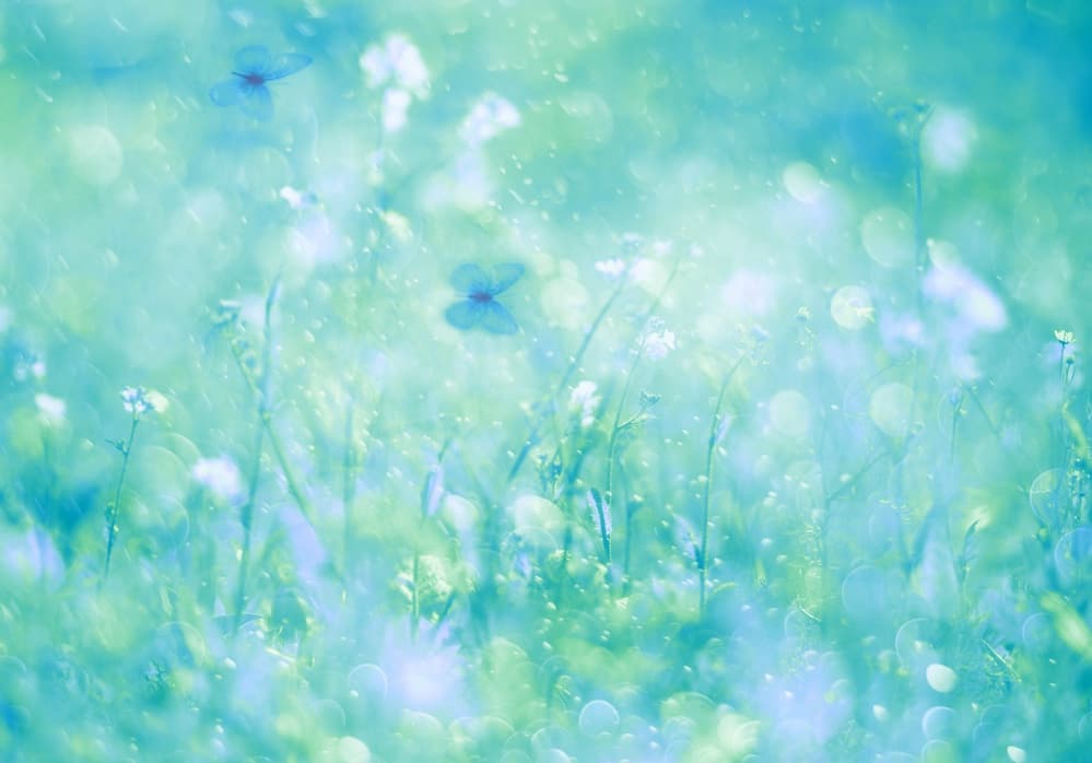 Aqua Butterfly Dream by Delphine Devos — canvas wall art
