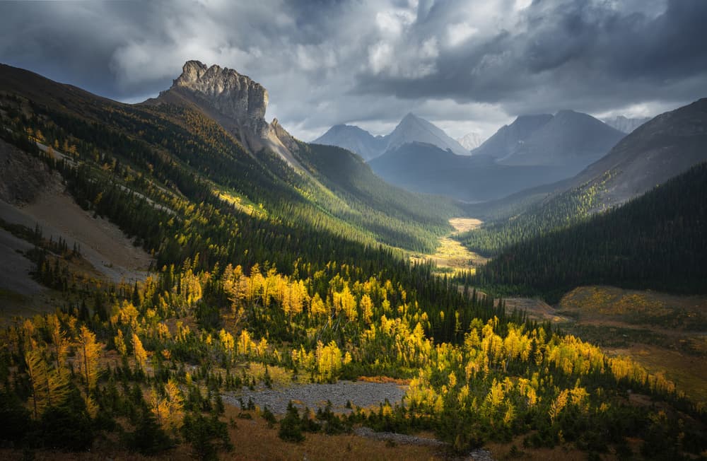 Golden Valley Sunlight by Yongnan Li （李永男） — canvas wall art