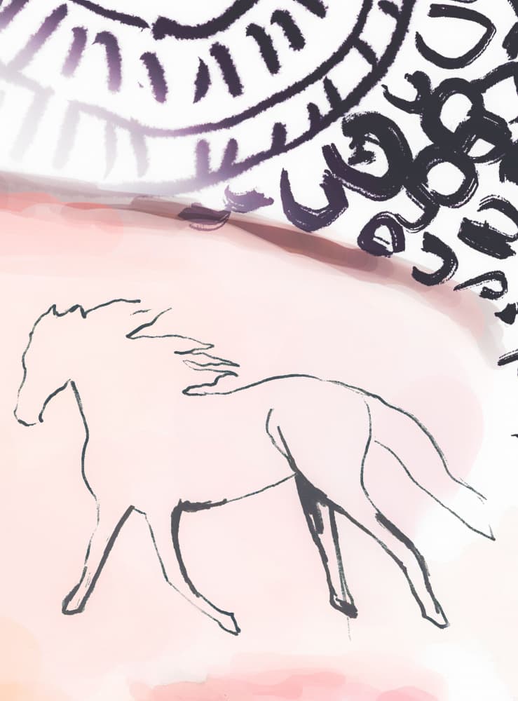 Blush Pink Horse Sketch by Beate Tubach — canvas wall art