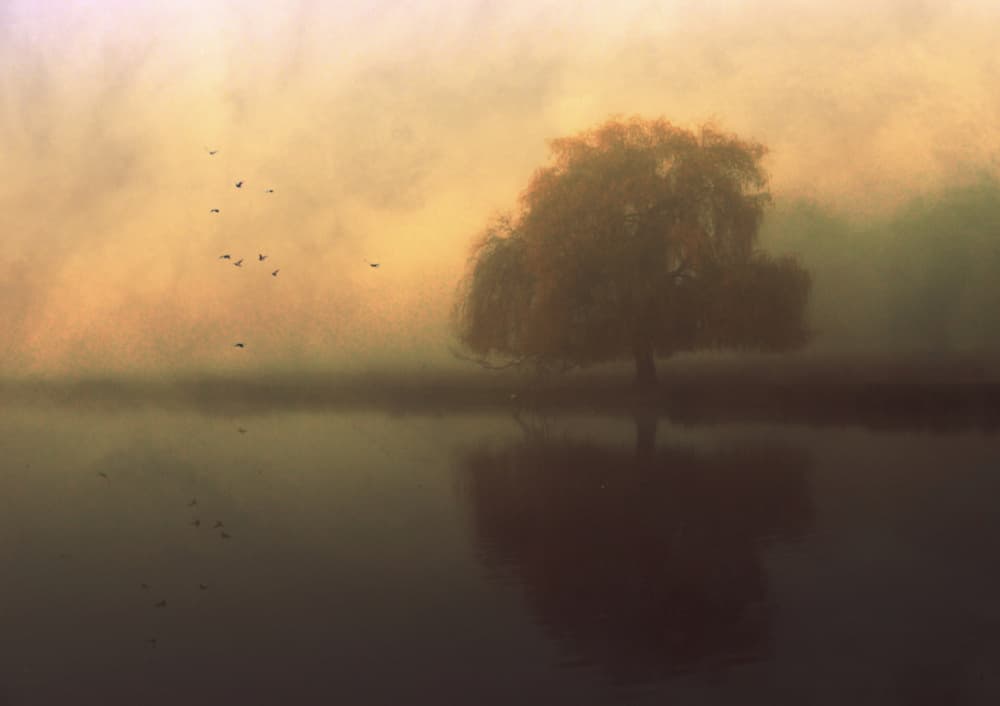 Misty Lake Reflection by Robert Fabrowski — canvas wall art
