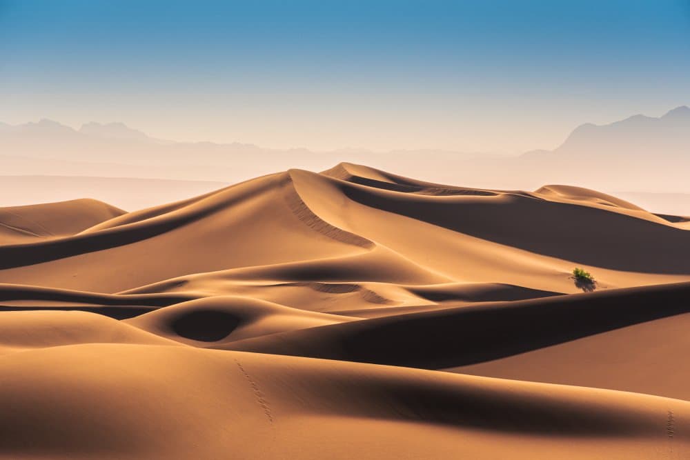 Golden Desert Serenity by Hamed Qane — canvas wall art