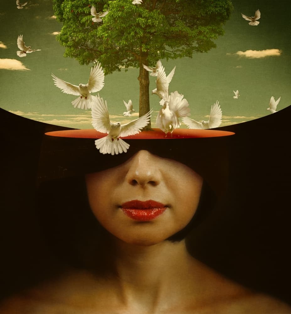 Mindscape With Doves by Svetlana Melik-Nubarova — canvas wall art