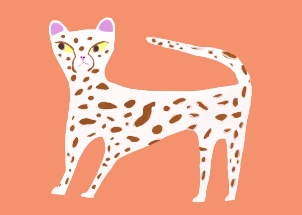 Spotted Leopard Cat by Sharyn Bursic — canvas wall art