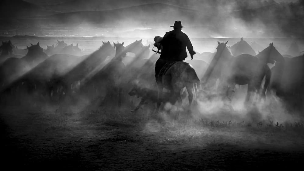 Wild West Horse Drive by Zühdü Bilgin — canvas wall art