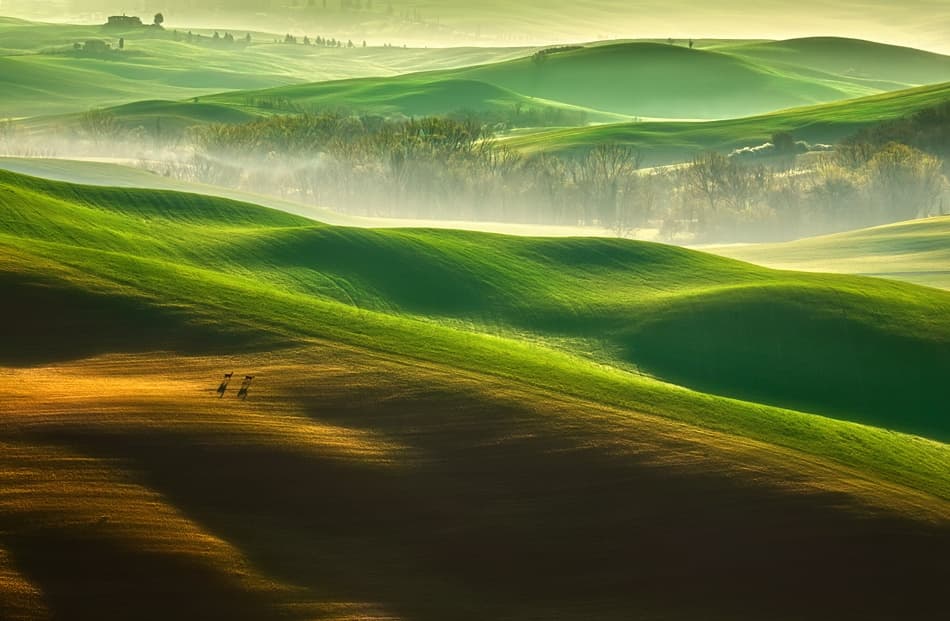 Misty Green Hills by Krzysztof Browko — canvas wall art