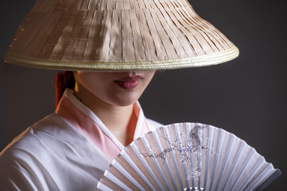 Elegant Fan Portrait by Rachel Pansky — canvas wall art
