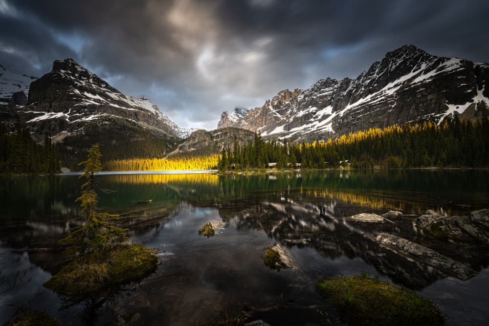 Golden Mountain Lake by Bing Li — canvas wall art
