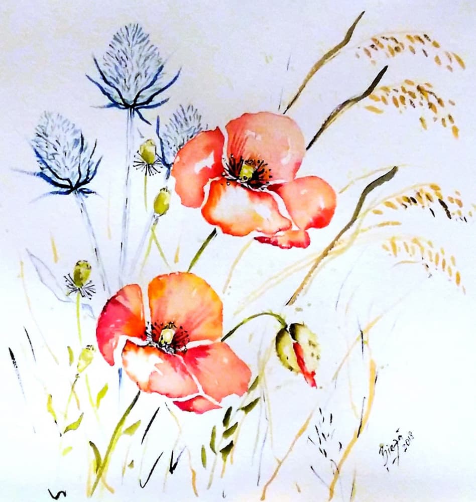 Wild Poppies And Thistle by Anda Bieza — canvas wall art