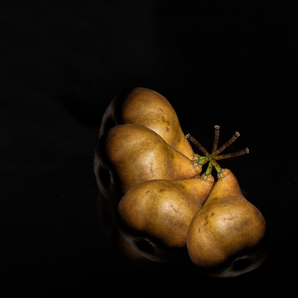 Dark Pears Still Life by Leonid Yermoshkin — canvas wall art