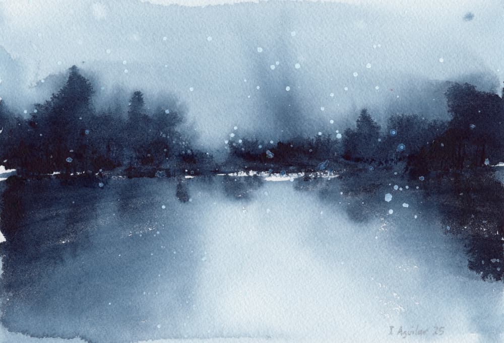 Misty Winter Forest Reflection by Isabel Aguilar Alonso — canvas wall art