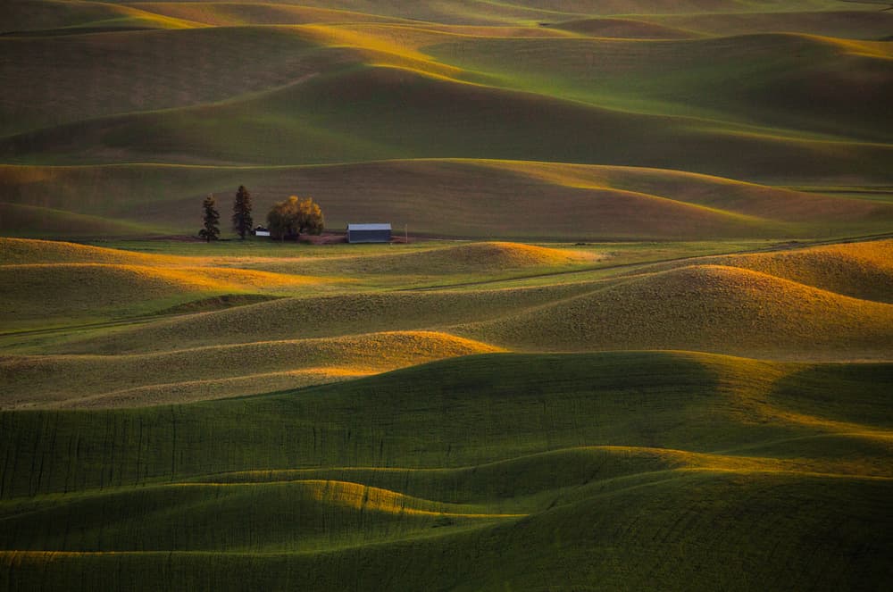 Sunlit Farm Hills by April Xie — canvas wall art