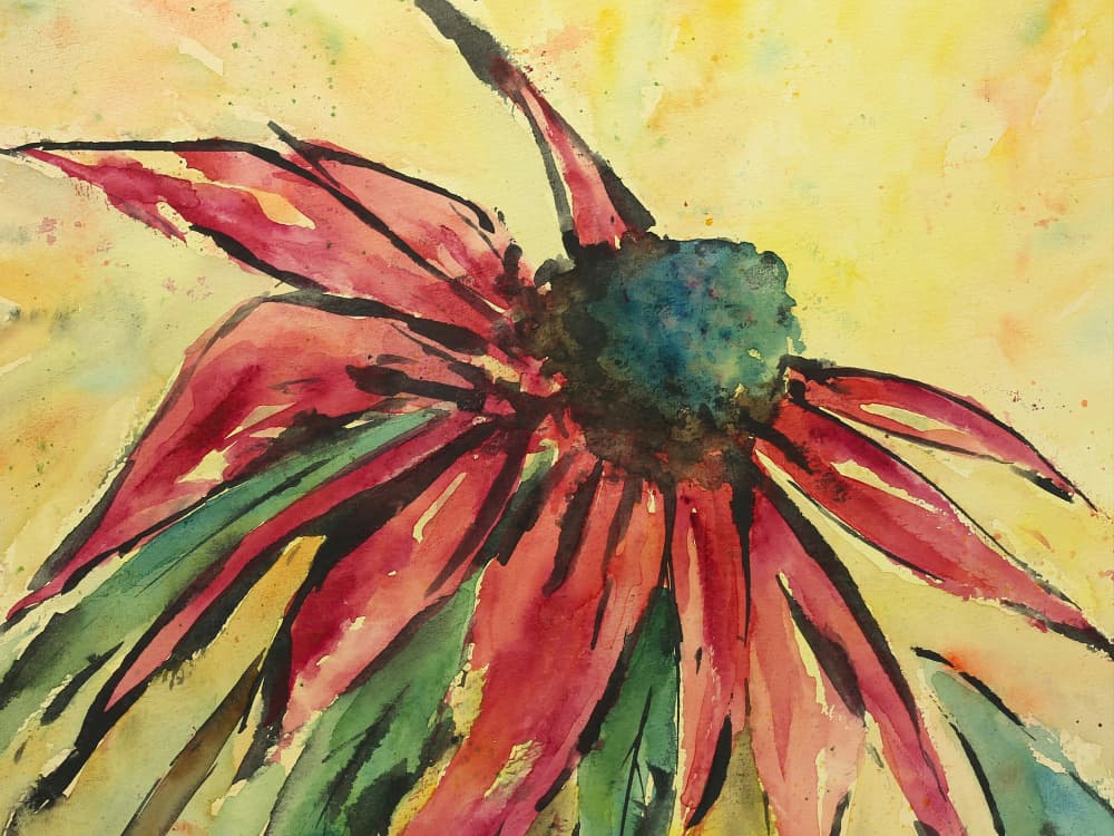 Vibrant Red Coneflower by Natalie Bruns — canvas wall art