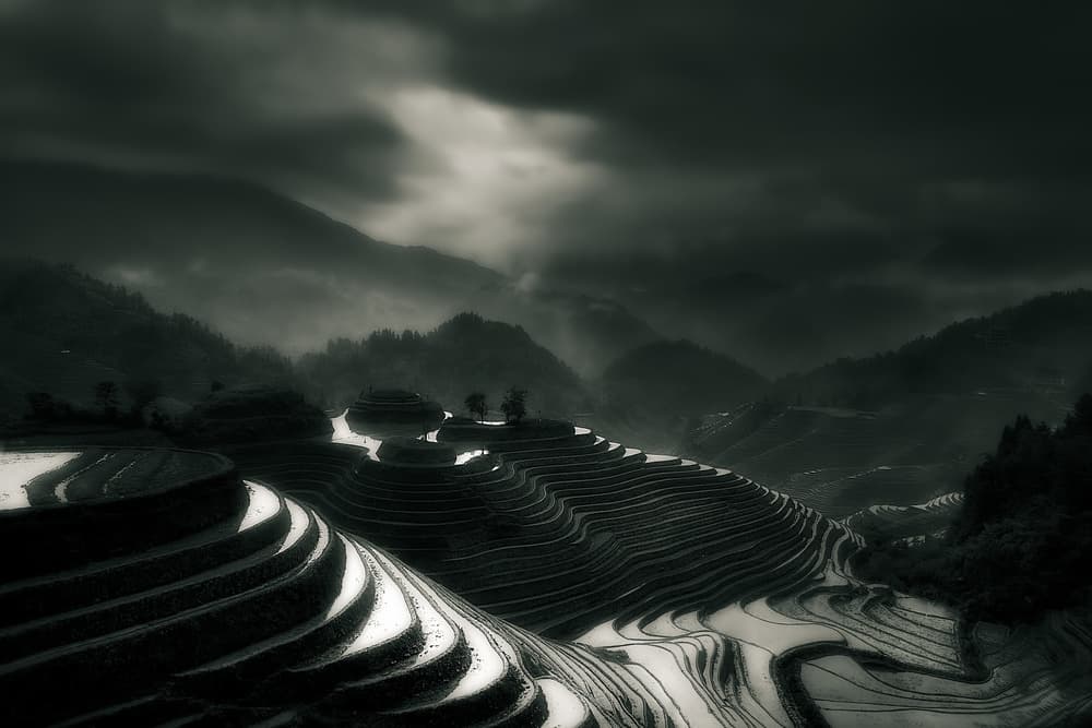 Misty Rice Terraces by Fabrizio Massetti — canvas wall art