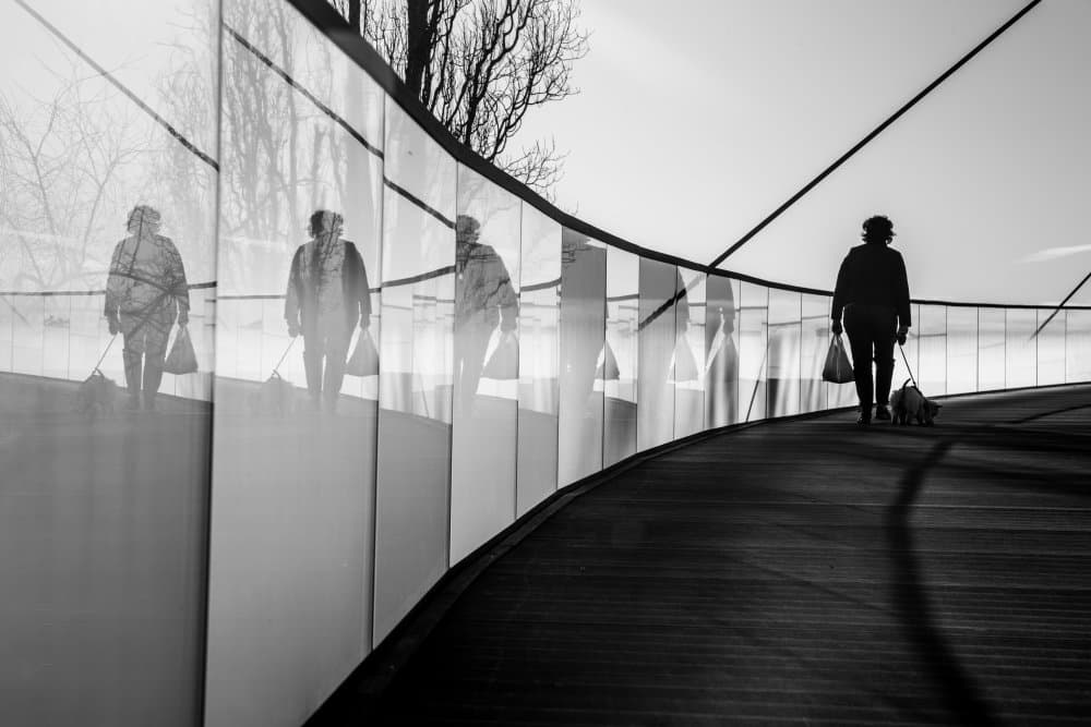 Curved Path Reflections by Dzintra Zvagina — canvas wall art