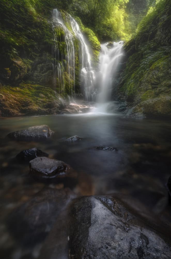 Lush Forest Waterfall by Yezimao — canvas wall art