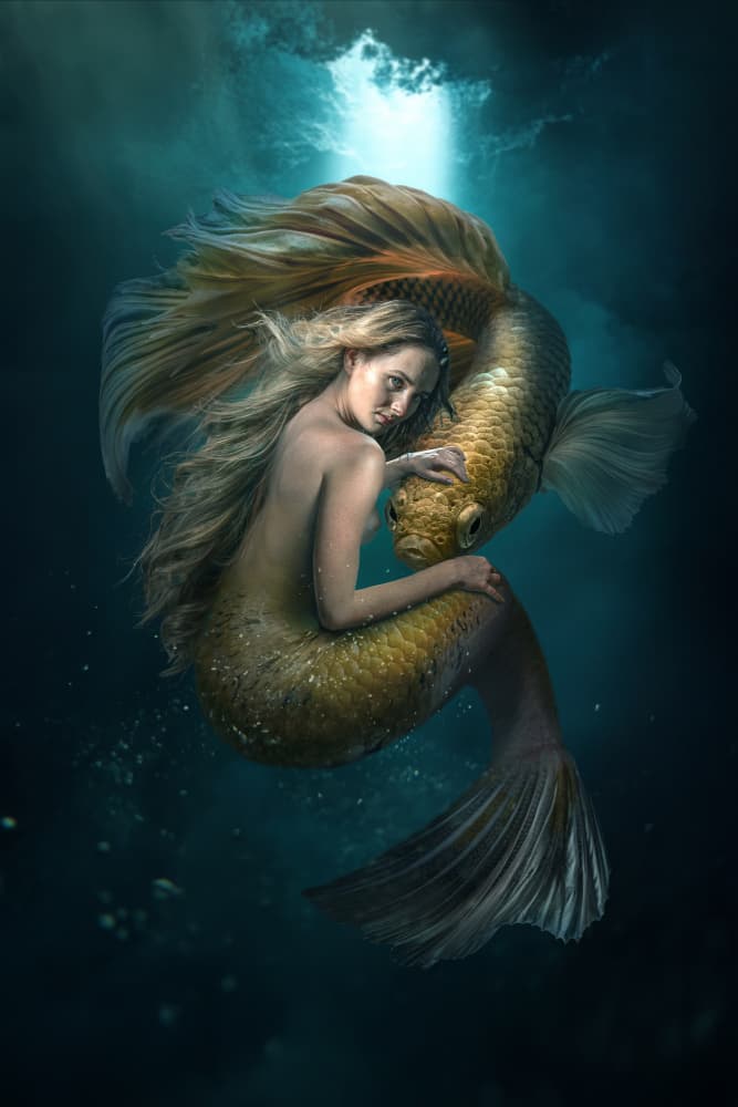 Mermaid and Golden Fish by Marcel Egger — canvas wall art
