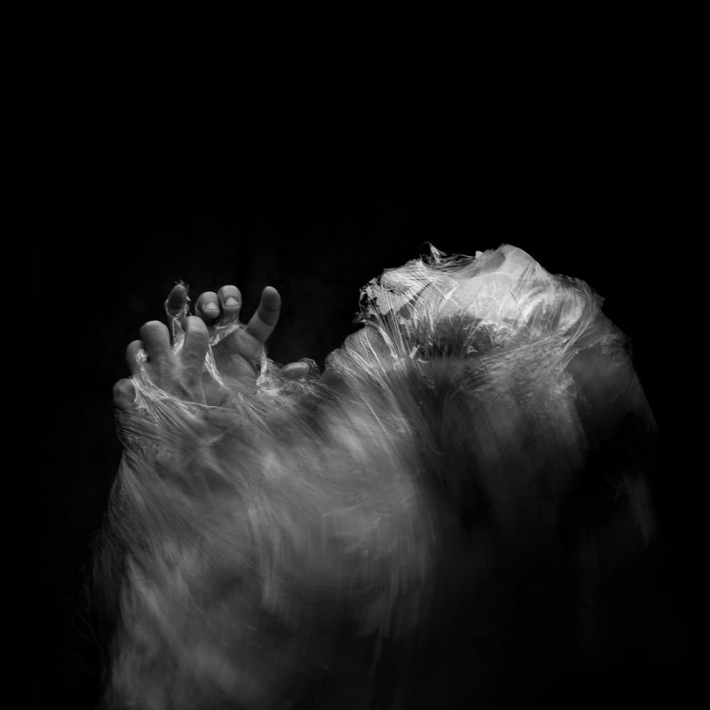 Struggle In Motion by Xavi Cardell — canvas wall art