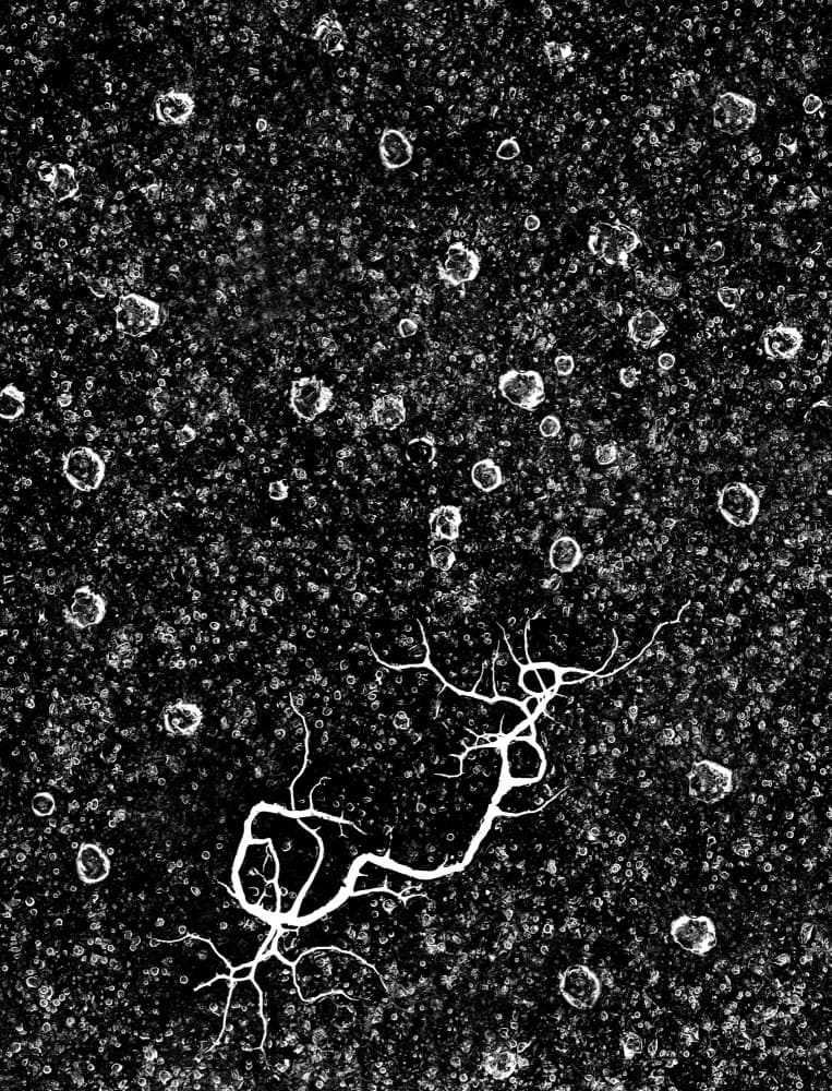 Cracked Ice And Bubbles by Laurentiu Pavel — canvas wall art