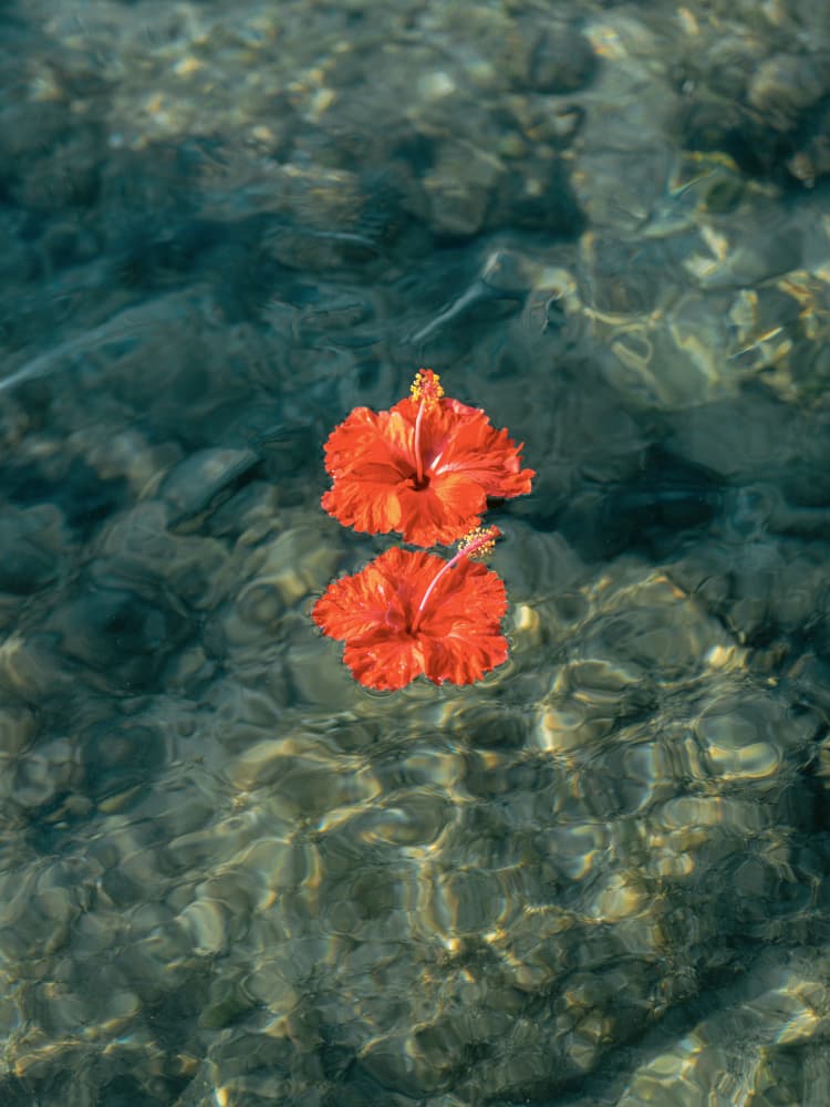 Crimson Drift by Raisa Zwart — canvas wall art