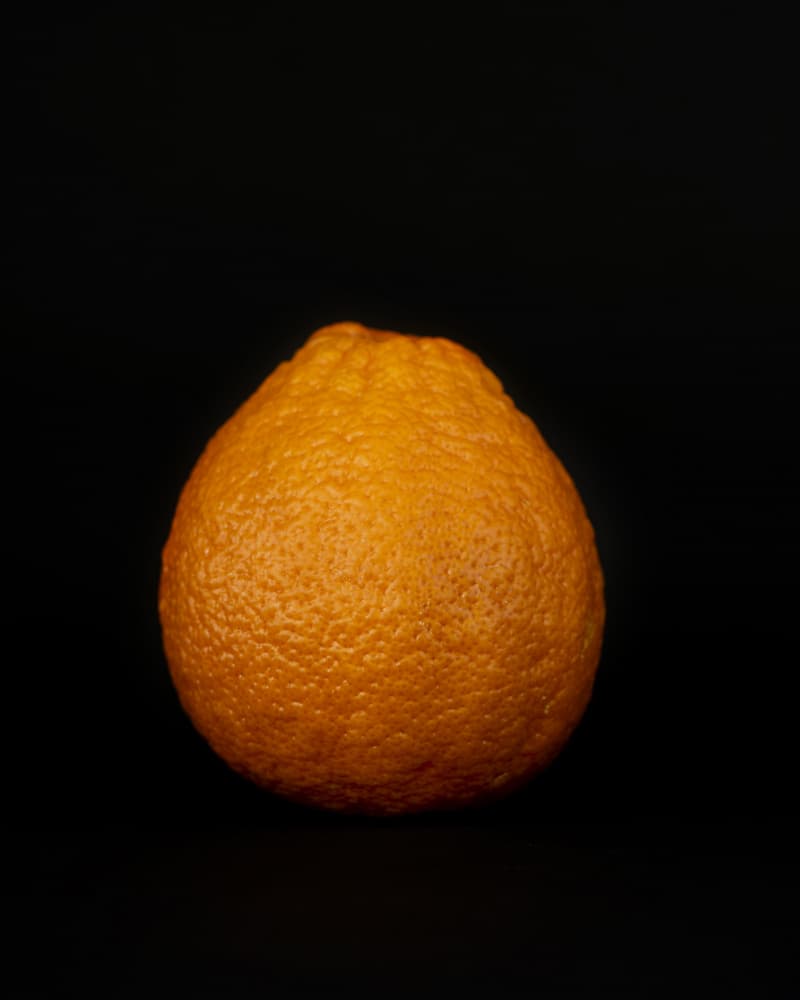 Vibrant Orange Still Life by Lynann Colligan — canvas wall art